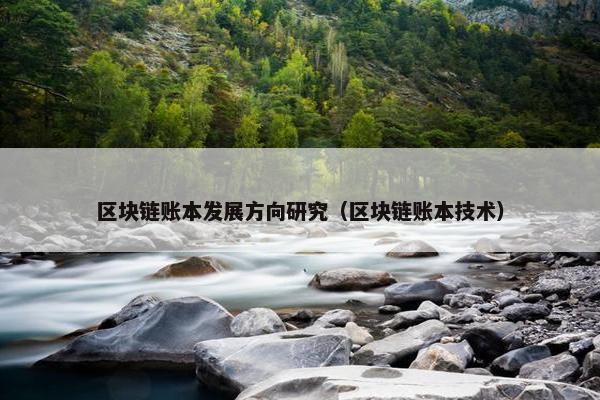 区块链账本发展方向研究（区块链账本技术）