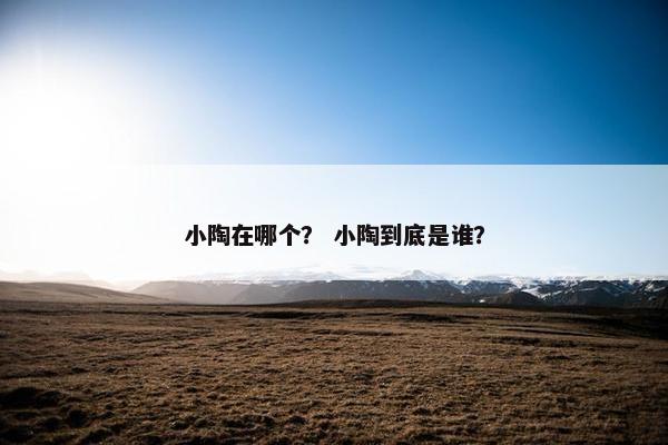 小陶在哪个？ 小陶到底是谁？