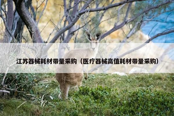 江苏器械耗材带量采购（医疗器械高值耗材带量采购）