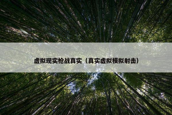 虚拟现实枪战真实（真实虚拟模拟射击）