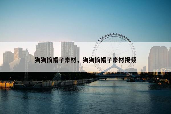 狗狗摘帽子素材，狗狗摘帽子素材视频