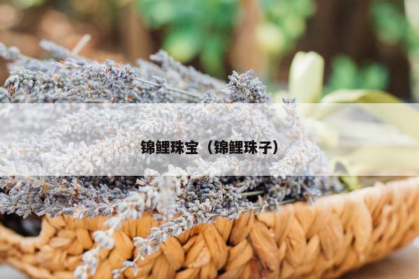 锦鲤珠宝（锦鲤珠子）