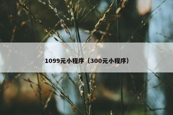 1099元小程序（300元小程序）