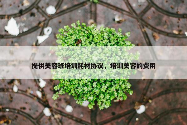 提供美容班培训耗材协议，培训美容的费用