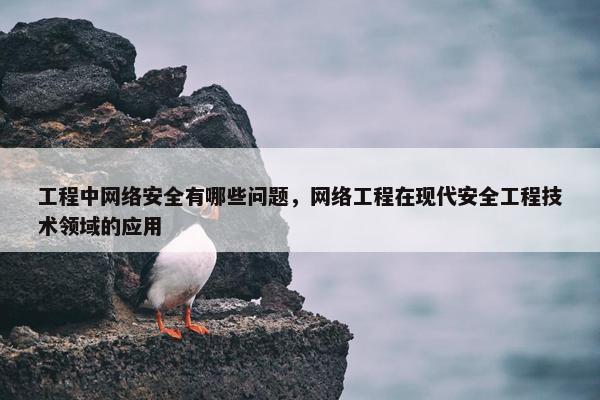 工程中网络安全有哪些问题，网络工程在现代安全工程技术领域的应用