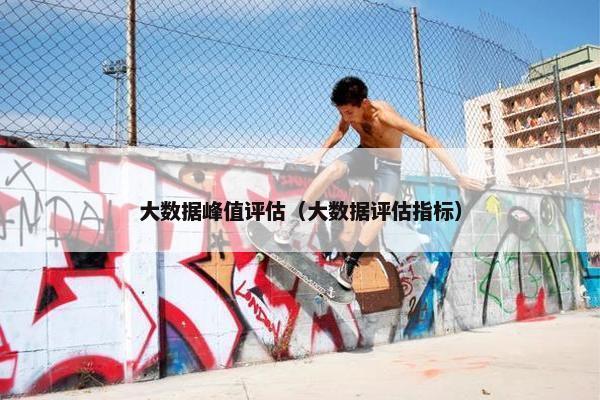 大数据峰值评估（大数据评估指标）