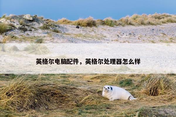 英格尔电脑配件，英格尔处理器怎么样