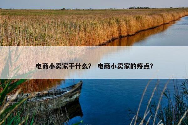 电商小卖家干什么？ 电商小卖家的疼点？