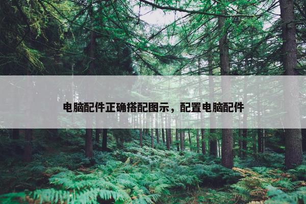 电脑配件正确搭配图示，配置电脑配件