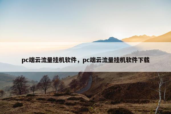 pc端云流量挂机软件，pc端云流量挂机软件下载