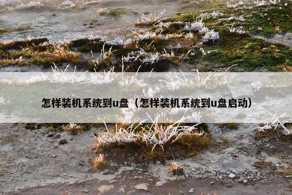 怎样装机系统到u盘（怎样装机系统到u盘启动）