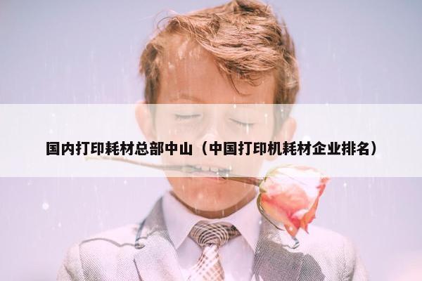 国内打印耗材总部中山（中国打印机耗材企业排名）