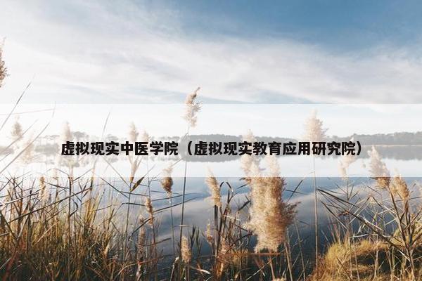 虚拟现实中医学院（虚拟现实教育应用研究院）