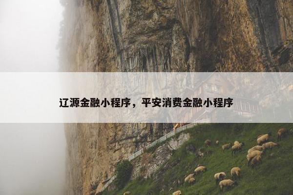 辽源金融小程序，平安消费金融小程序