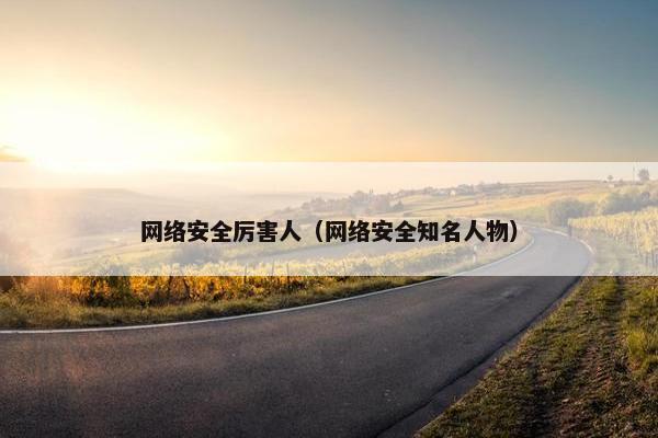 网络安全厉害人（网络安全知名人物）