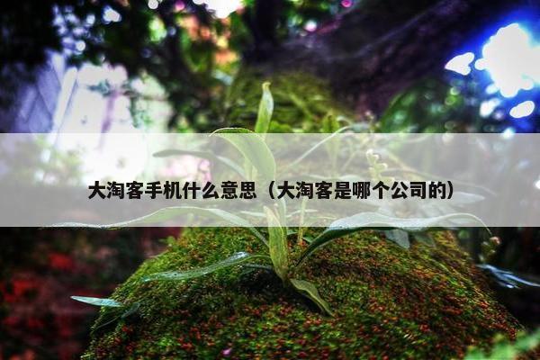 大淘客手机什么意思（大淘客是哪个公司的）