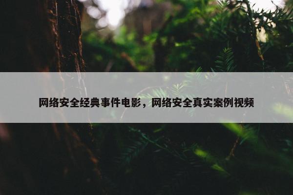 网络安全经典事件电影，网络安全真实案例视频
