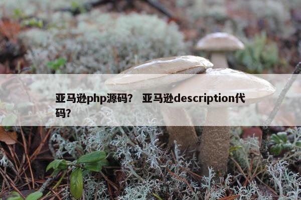 亚马逊php源码？ 亚马逊description代码？