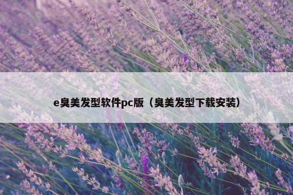 e臭美发型软件pc版（臭美发型下载安装）
