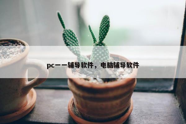 pc一一辅导软件，电脑辅导软件