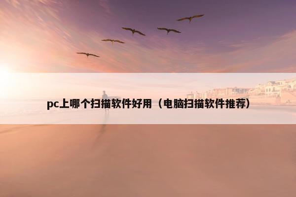 pc上哪个扫描软件好用（电脑扫描软件推荐）