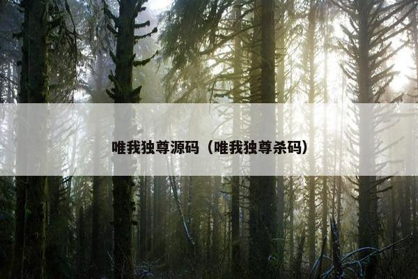唯我独尊源码（唯我独尊杀码）