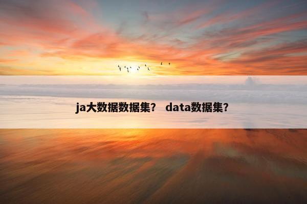 ja大数据数据集？ data数据集？