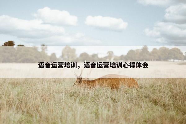 语音运营培训，语音运营培训心得体会