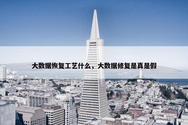 大数据恢复工艺什么，大数据修复是真是假