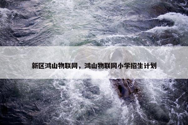 新区鸿山物联网，鸿山物联网小学招生计划