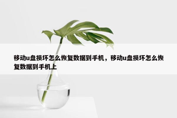 移动u盘损坏怎么恢复数据到手机，移动u盘损坏怎么恢复数据到手机上