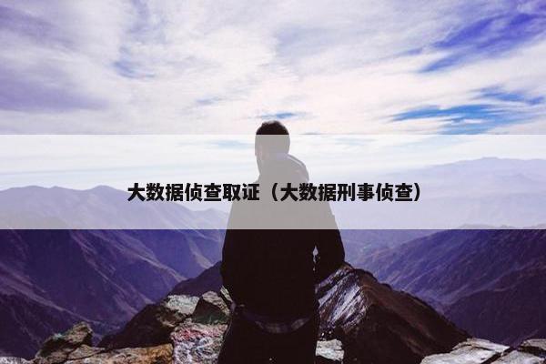 大数据侦查取证（大数据刑事侦查）