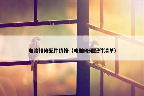 电脑维修配件价格（电脑修理配件清单）