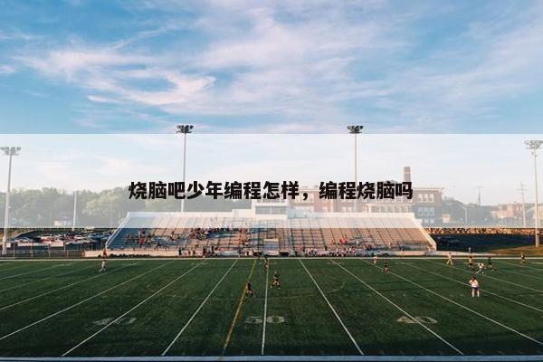 烧脑吧少年编程怎样，编程烧脑吗