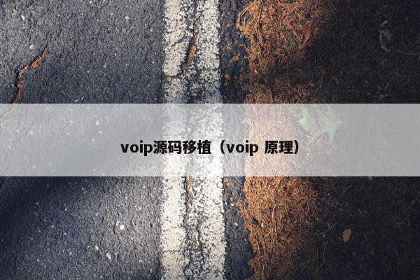 voip源码移植（voip 原理）