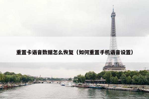 重置卡语音数据怎么恢复（如何重置手机语音设置）