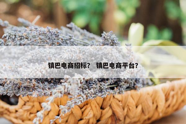 镇巴电商招标？ 镇巴电商平台？