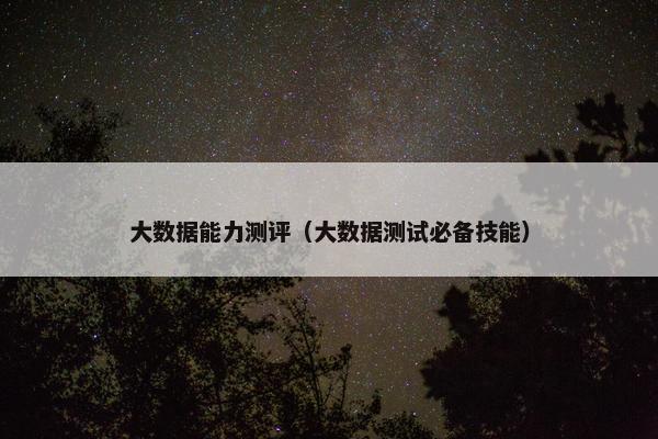 大数据能力测评（大数据测试必备技能）