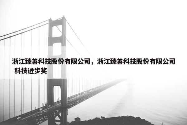浙江臻善科技股份有限公司，浙江臻善科技股份有限公司 科技进步奖
