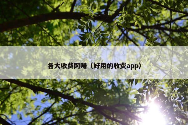 各大收费网赚（好用的收费app）