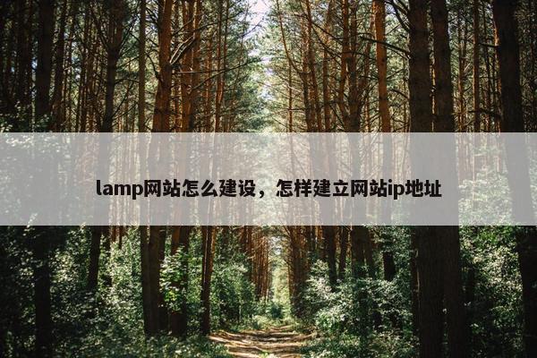 lamp网站怎么建设，怎样建立网站ip地址