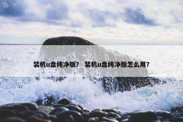 装机u盘纯净版？ 装机u盘纯净版怎么用？