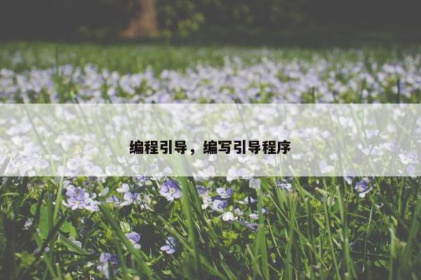 编程引导，编写引导程序