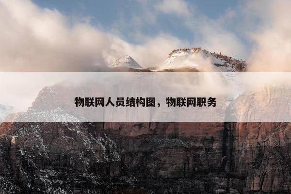 物联网人员结构图，物联网职务