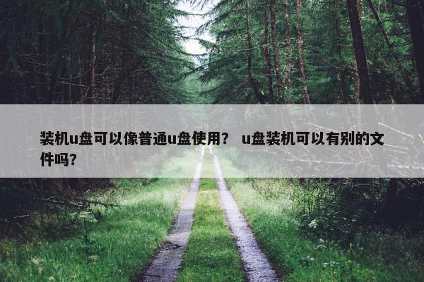 装机u盘可以像普通u盘使用？ u盘装机可以有别的文件吗？