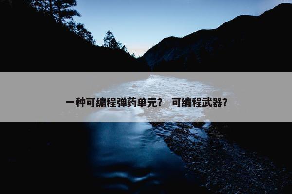 一种可编程弹药单元？ 可编程武器？
