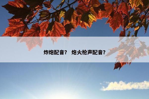 炸炮配音？ 炮火枪声配音？