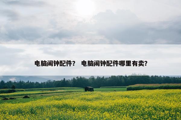 电脑闹钟配件? 电脑闹钟配件哪里有卖? 电脑闹钟配件? 电脑闹钟配件哪里有卖?