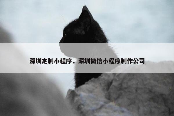 深圳定制小程序，深圳微信小程序制作公司