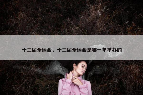 十二届全运会，十二届全运会是哪一年举办的